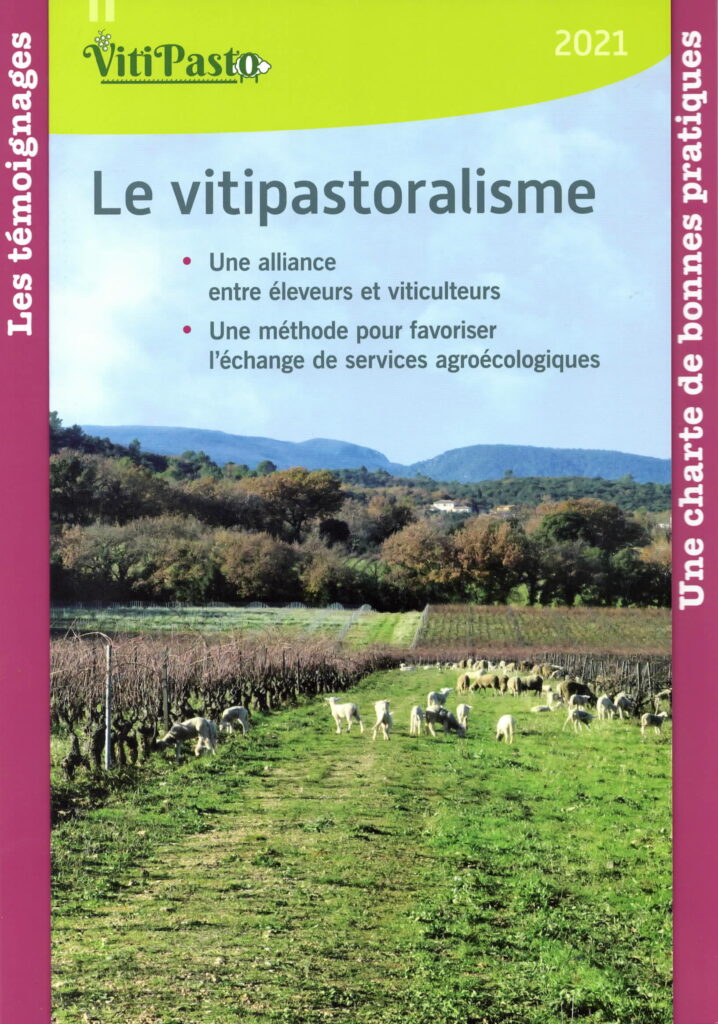 Le Vitipastoralisme, une alliance entre deux agricultures pour des échanges de services et un mode de pâturage déjà bien établi