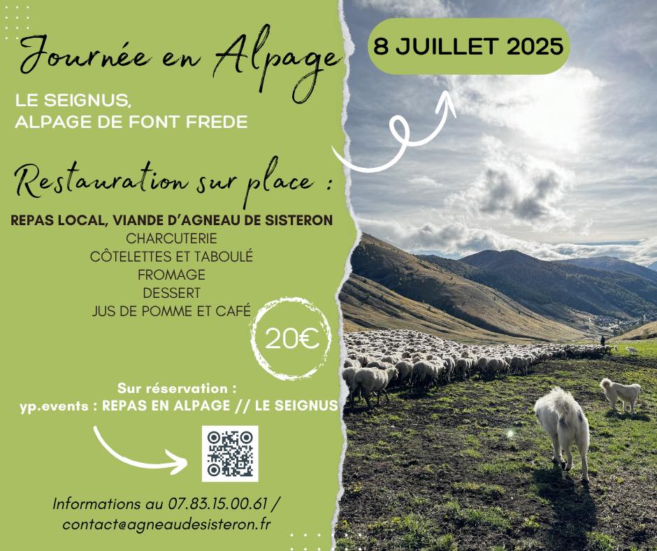 Journée en alpage - Allos - 8 juillet 2025