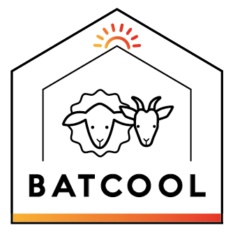 LogoBATCOOLfinal_Plan de travail 1