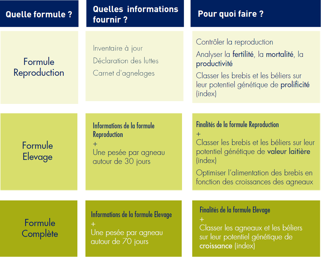 Capture d’écran 2025-10-22 164800