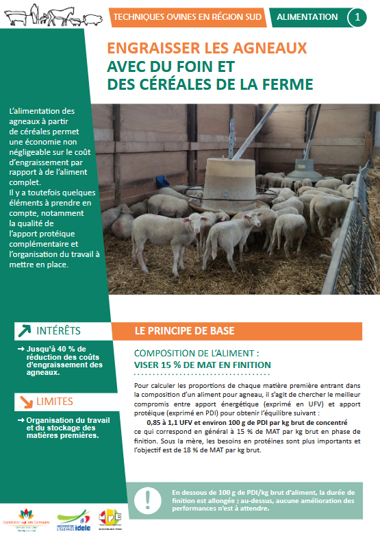 Screenshot 2025-10-31 at 10-02-25 Engraisser les agneaux avec du foin et des céréales de la ferme - Engraisser les agneaux avec des céréales.pdf