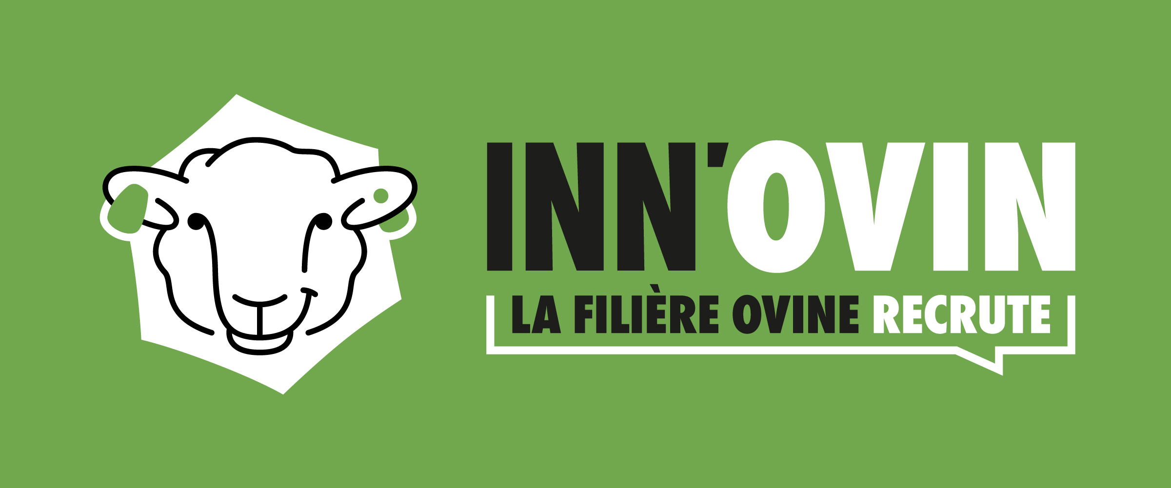 innovin-logo-fond-vert