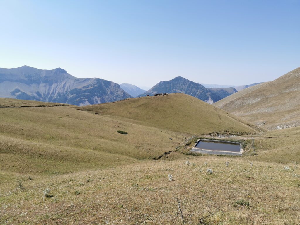 Qualité de l'eau d'abreuvement dans les impluviums et les abreuvoirs