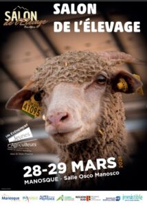 619544582_1320167733474567_1108241850564155438_n