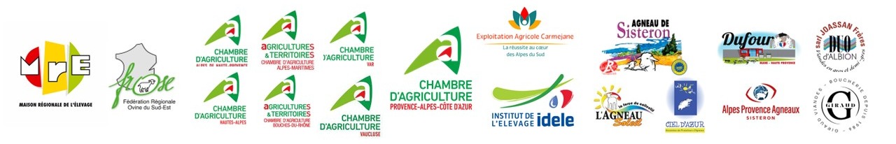 logo structur'agneau