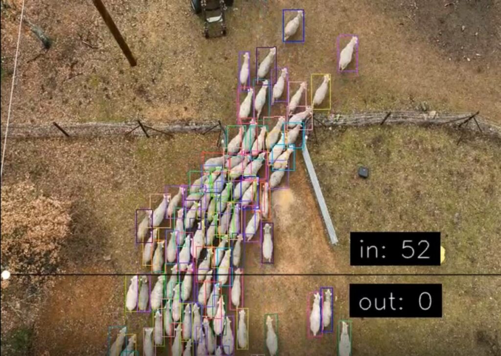 [Chronique ovine du Sud-Est] Le drone en élevage pastoral : pour qui, pour quoi ?